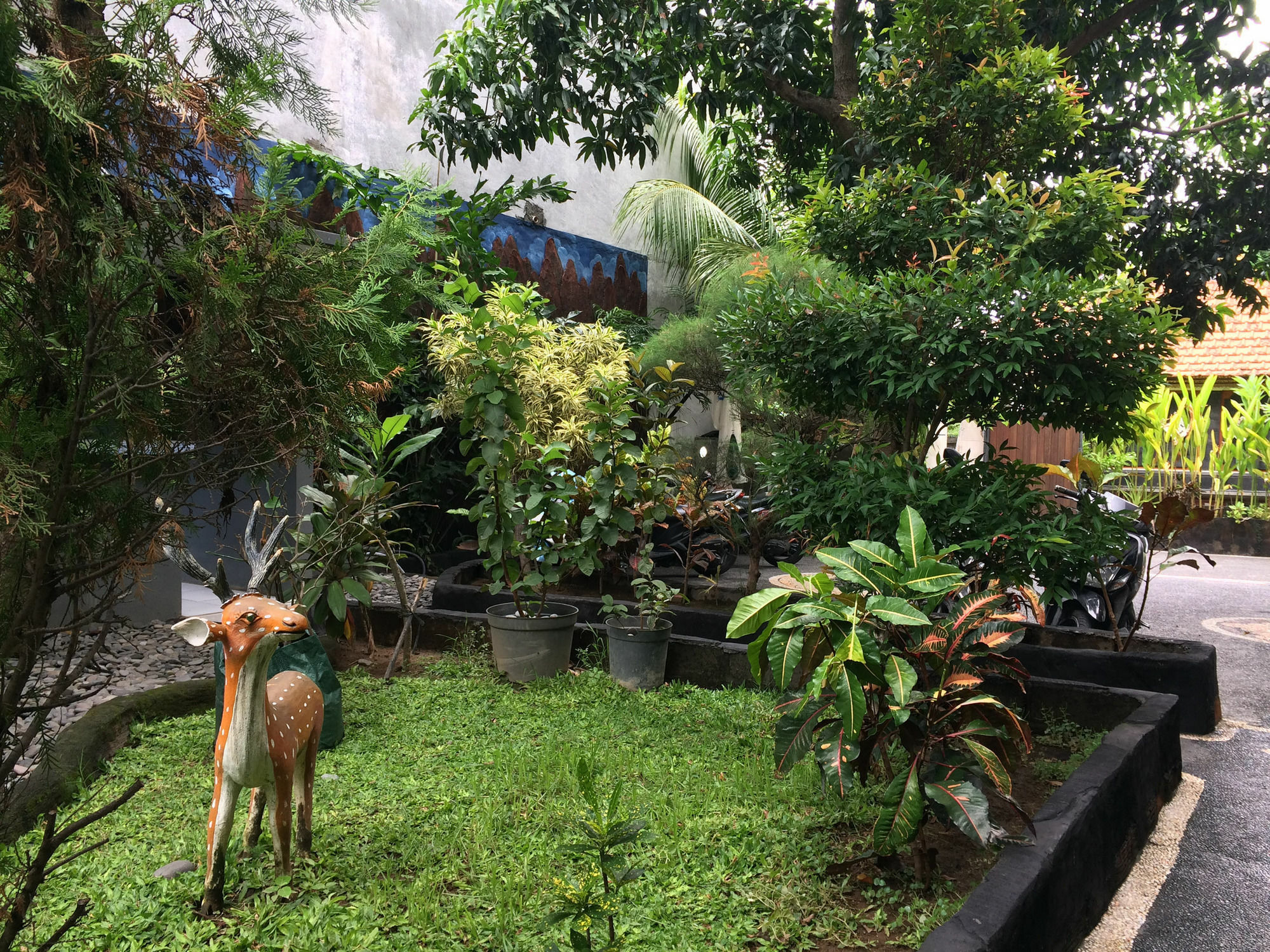 Jenny Bunker Homestay Kuta  Luaran gambar